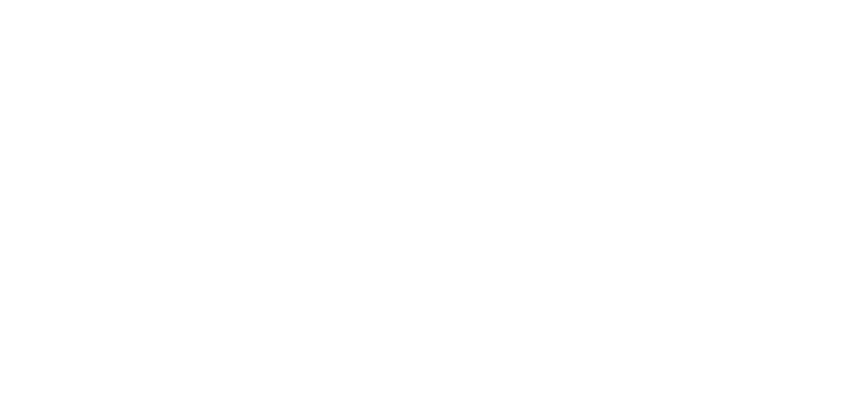 Seal Networks